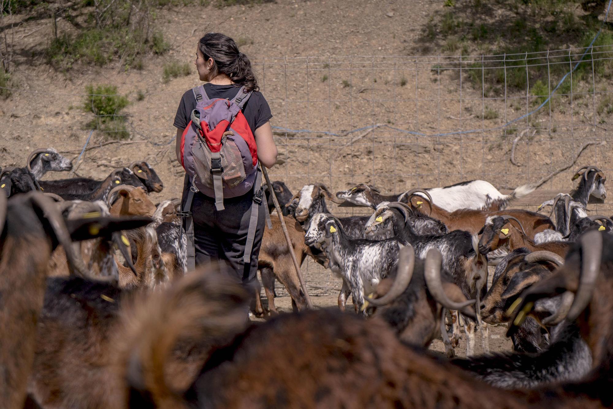 Galeria Mujeres ganaderas  - 5